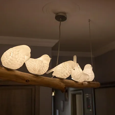 Elysian Bliss By Infox