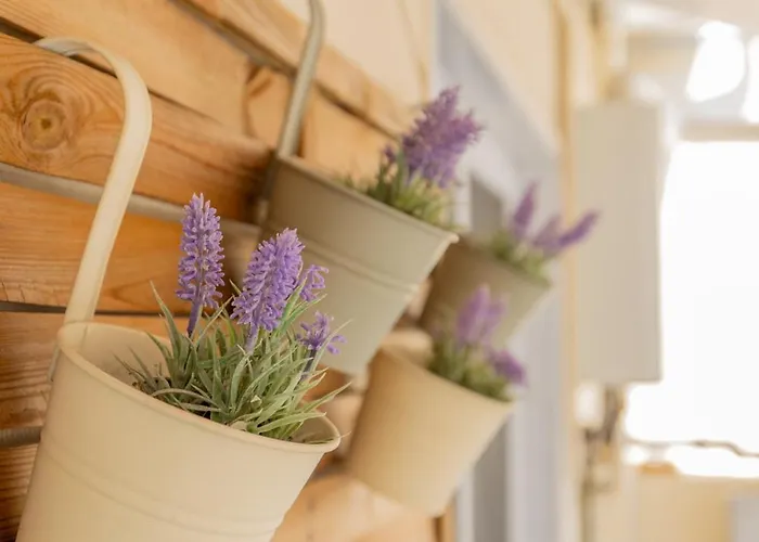 Apartament Elysian Bliss By Infox Salonic